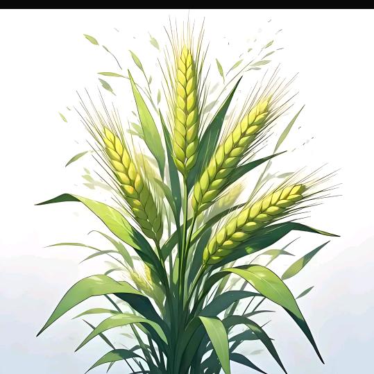 慧君房车游中国@抖音