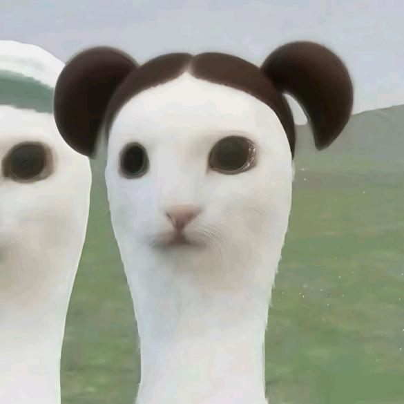 江阴职业小涵学姐