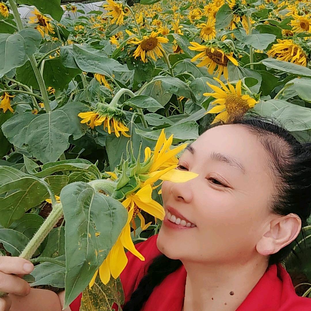 中药材种植怀化基地