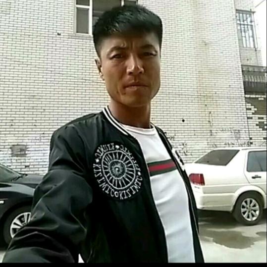 杨海圆