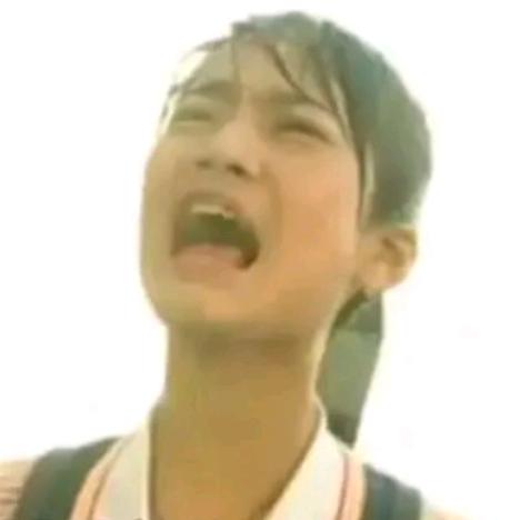 住手！你们不要再打了啦