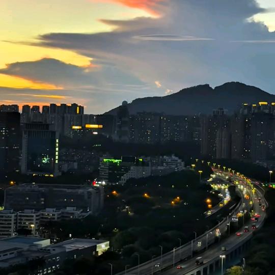 是个猪仔