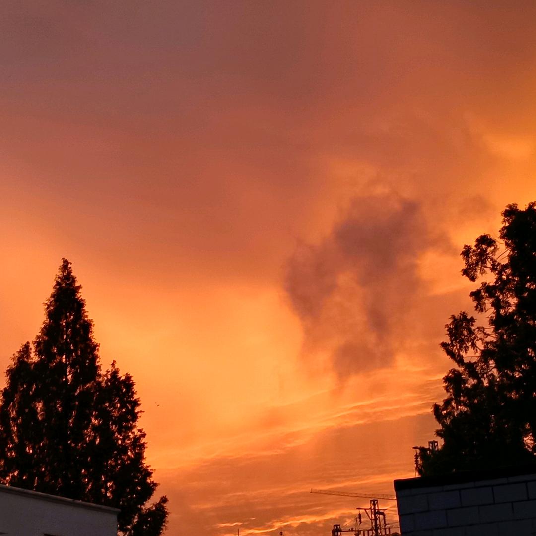 乞丐画质cfm选手