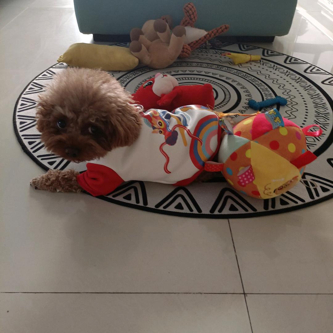 小孟妞