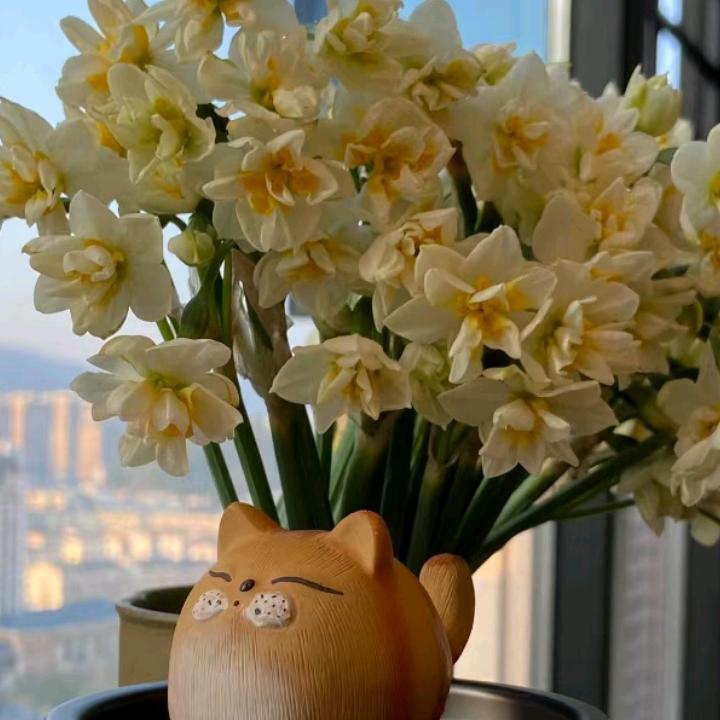 小丽