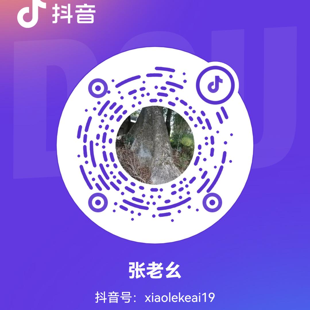 张老幺