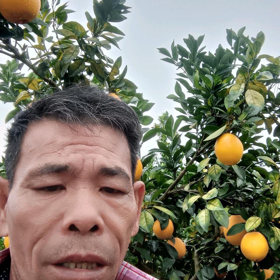 橙色