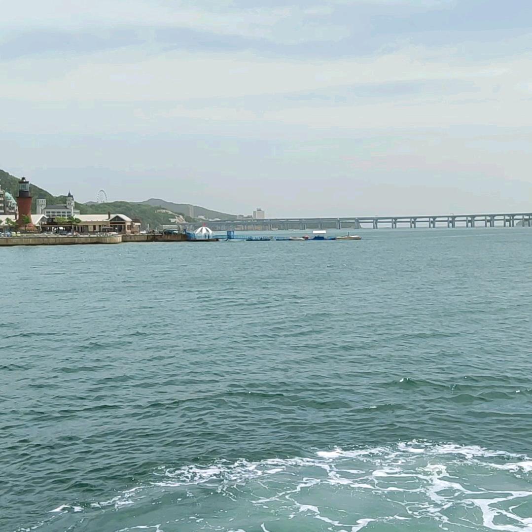 梦飞杨