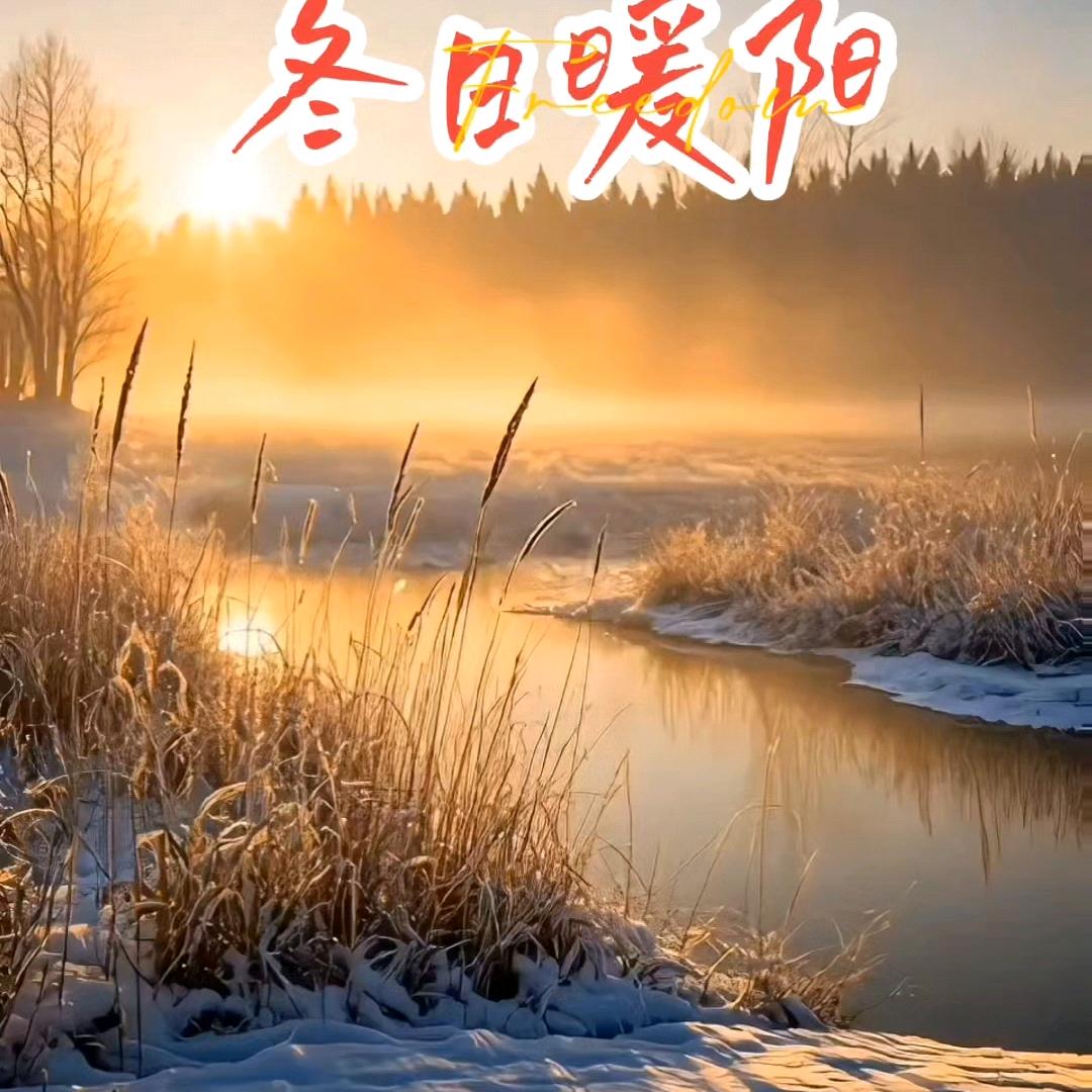 冬日❄暖阳
