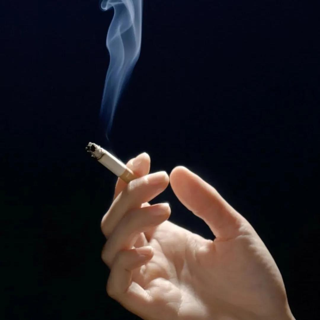 ღ᭄🕊꧔ꦿ᭄💞