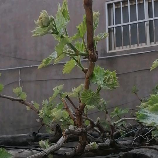 用户567565663375865