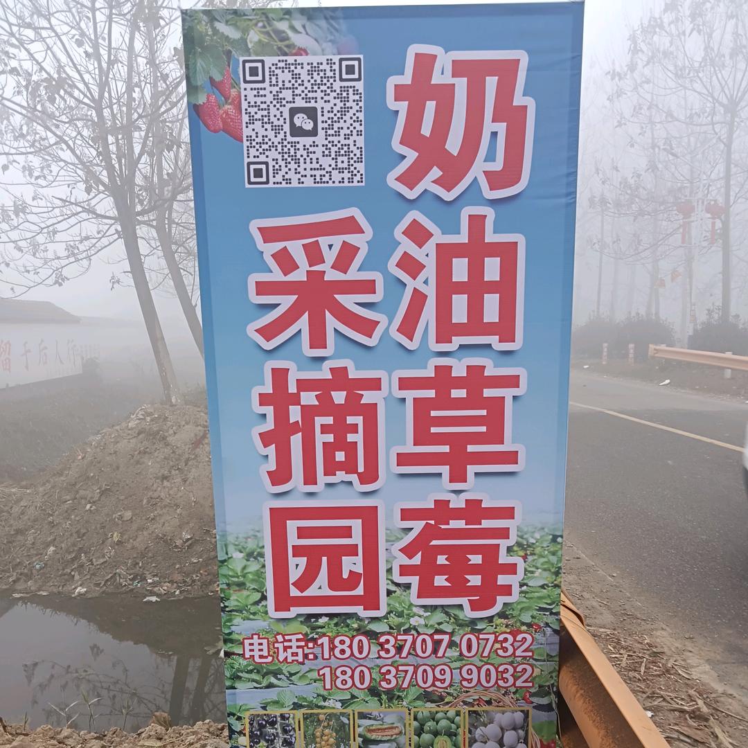 西瓜辣椒种植（草莓🍓采摘园）