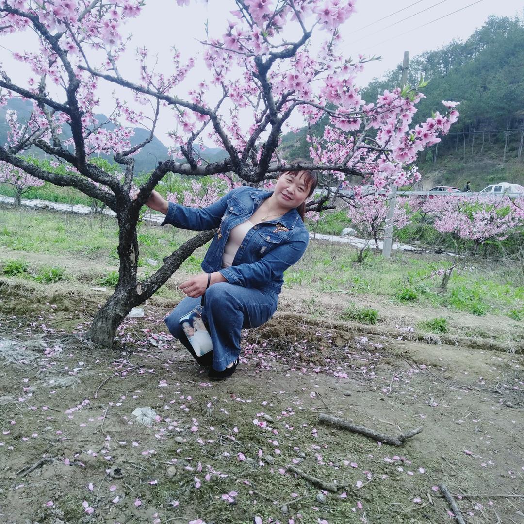 妻子的温柔，，周