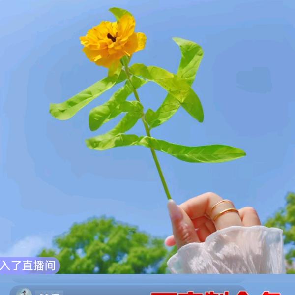 撒拉嗨呦