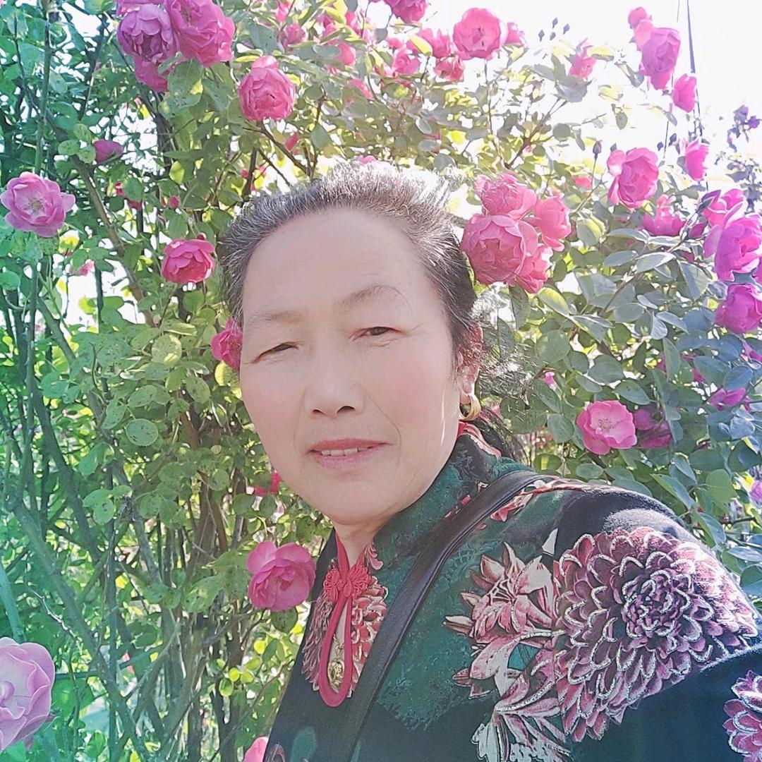 花开富贵🌸
