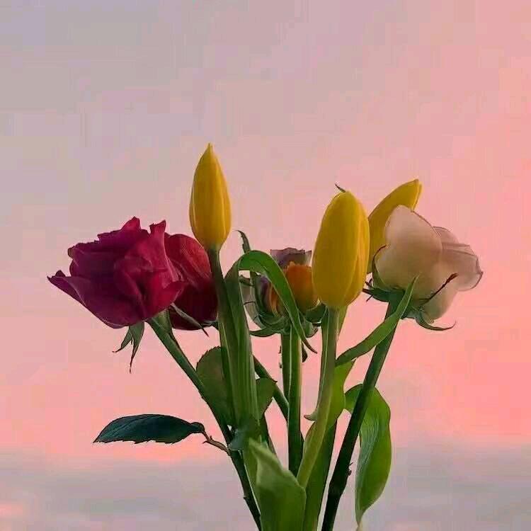 🌈如若有你一世欢喜🌈