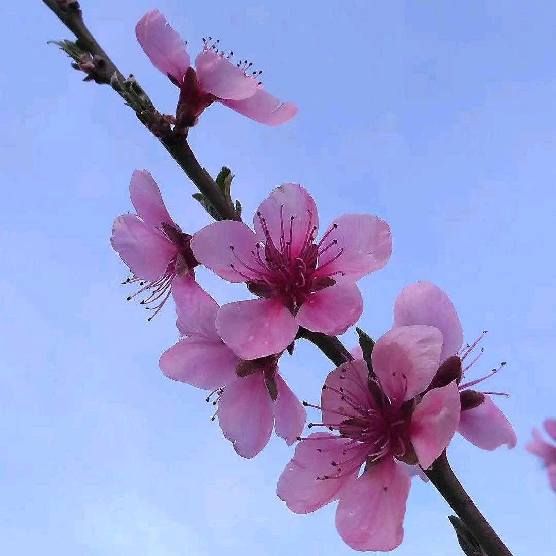 新河注册公司找红梅