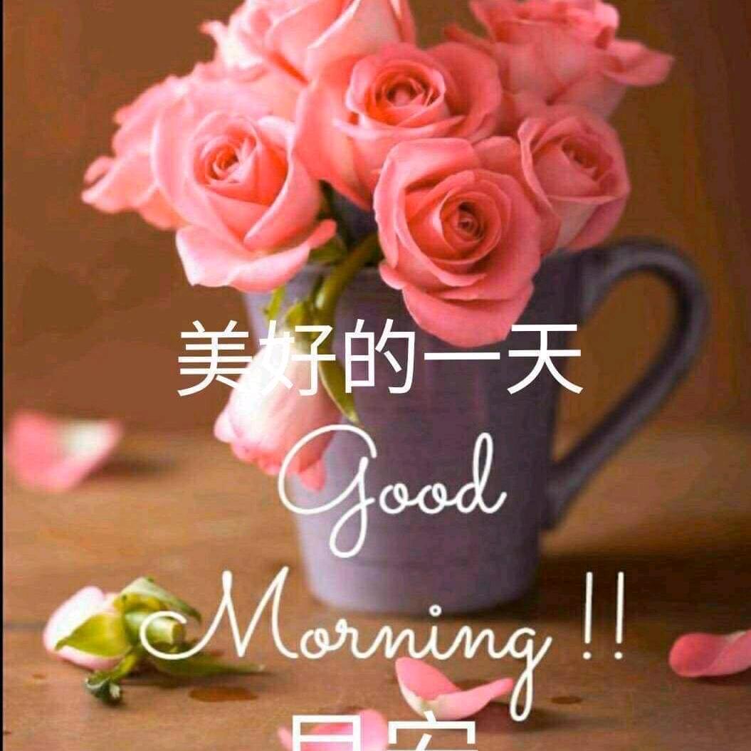 🌹龙🐲小堂主🍁🌾