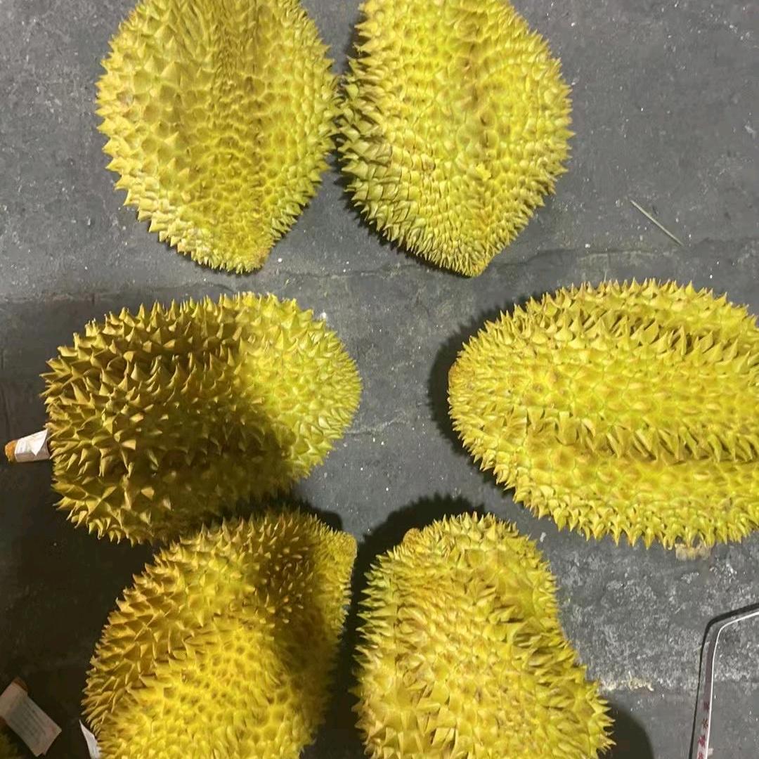 沂蒙花果山果蔬