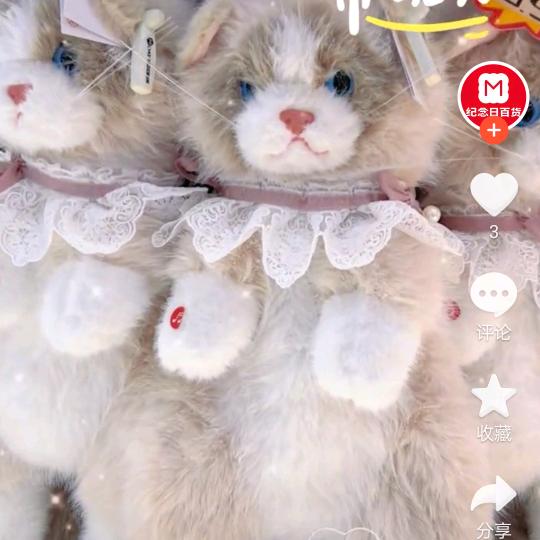 核桃头像