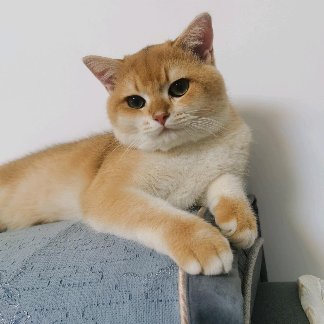 小方剧场