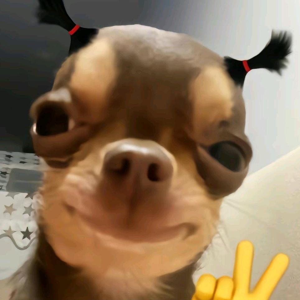 徐舍水街