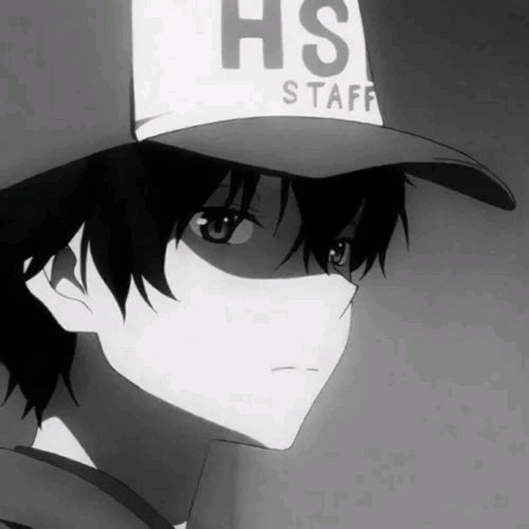 林ovo