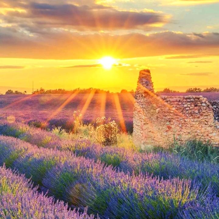 涨粉1000万关注必回