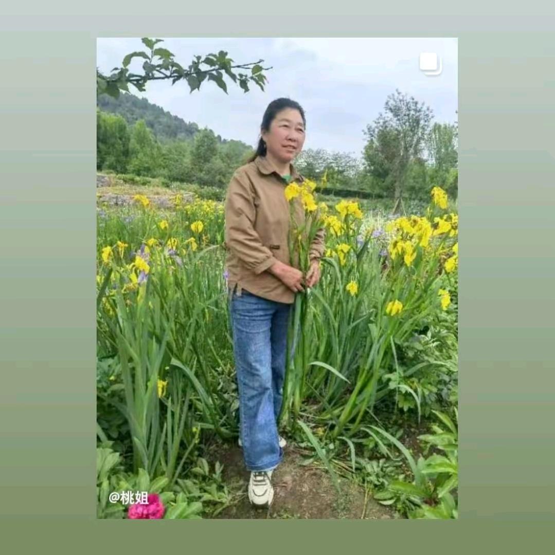 朱俊桃，桃姐，