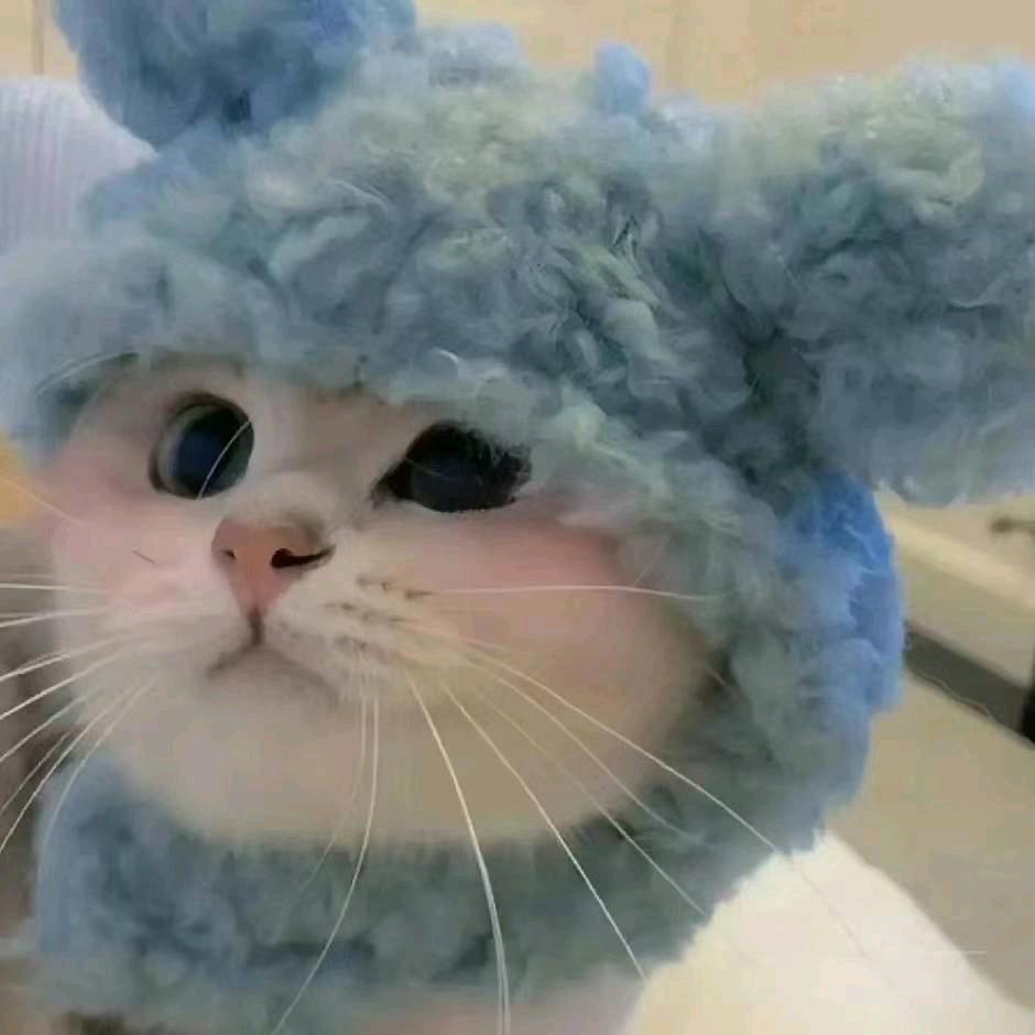 小琪