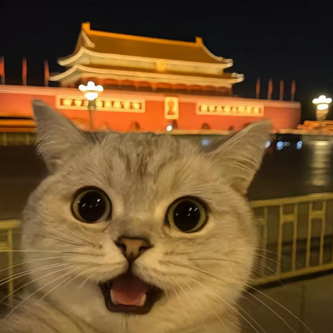 虎