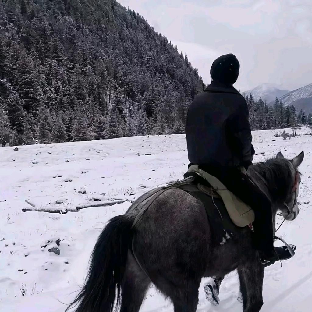 别来无恙
