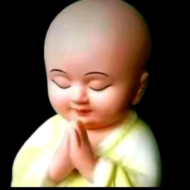 龙行🐉天下