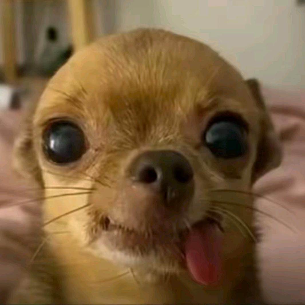 一、、