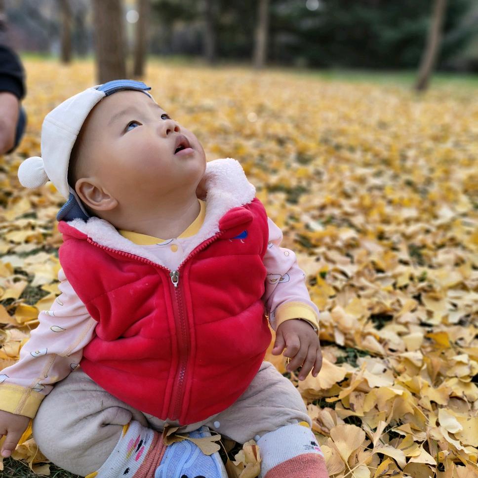 木薯