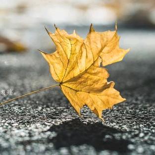 盐盐一点都不甜