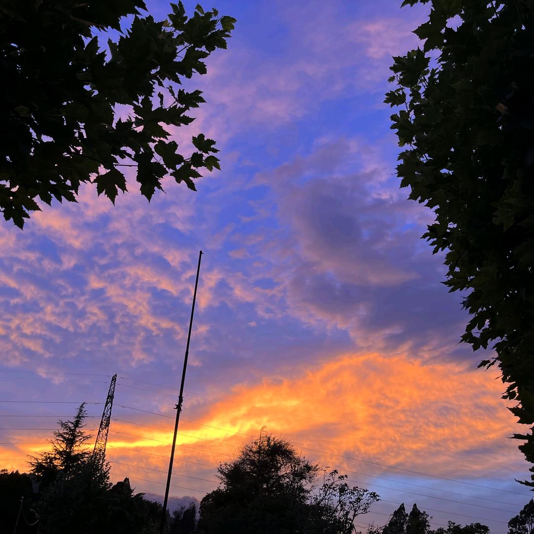 biubiu ～🍀☘🍀