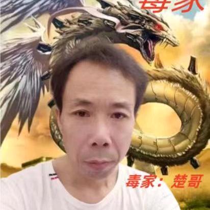 楚哥