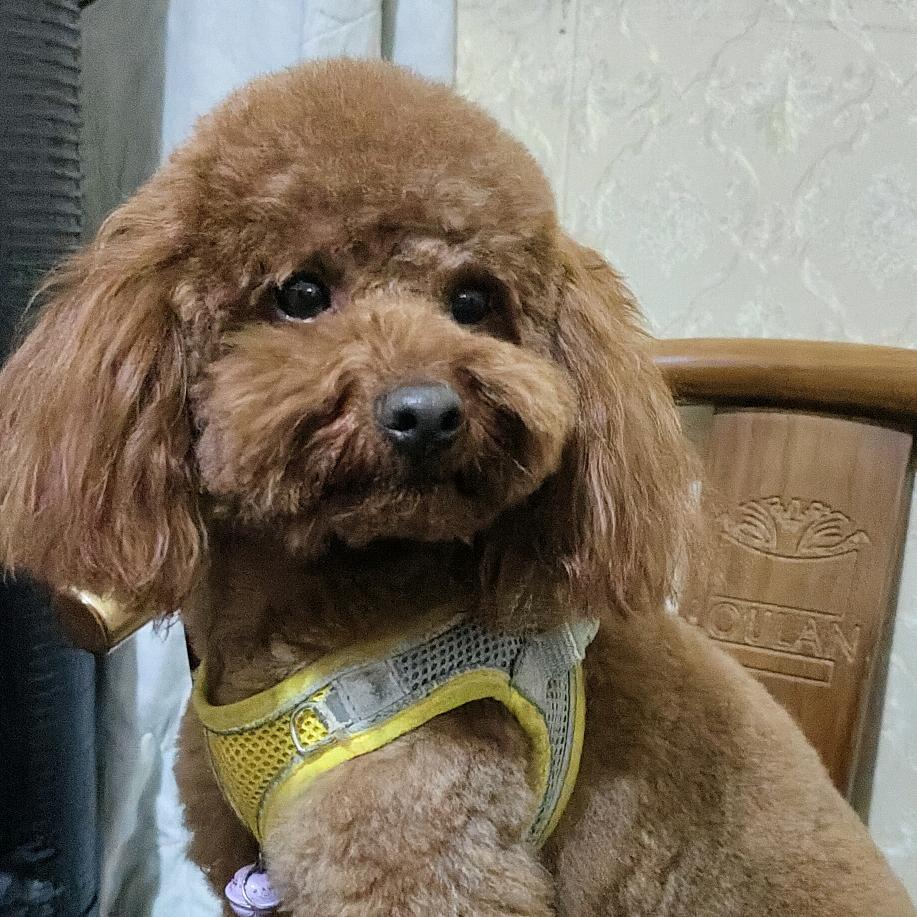 风中凌乱