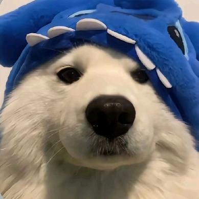 玩机疯狂