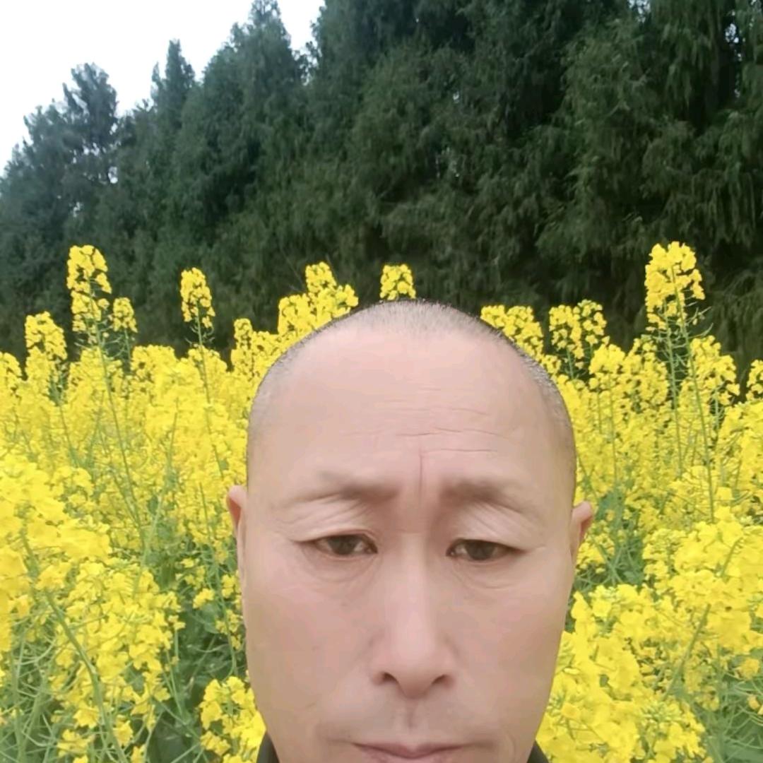 有钱任性无钱任命