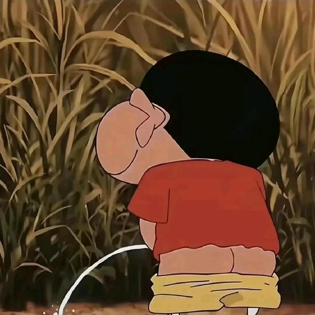 逆风鸟五米