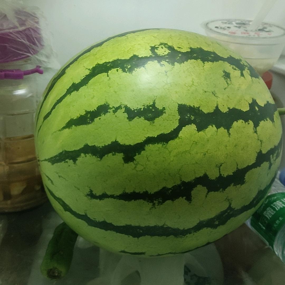 种田到破产四次的老王