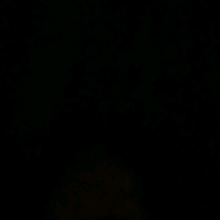……