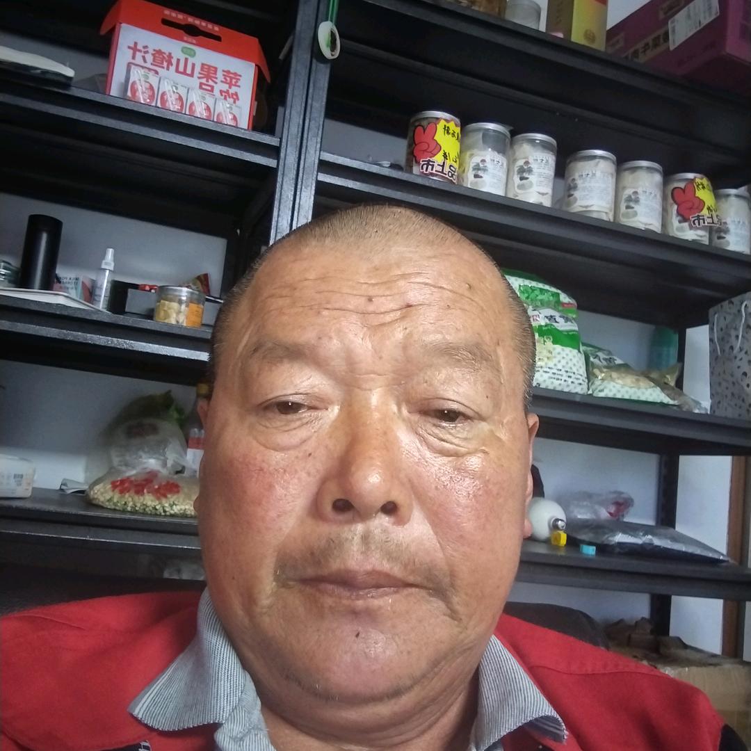 临泽文山三七粉