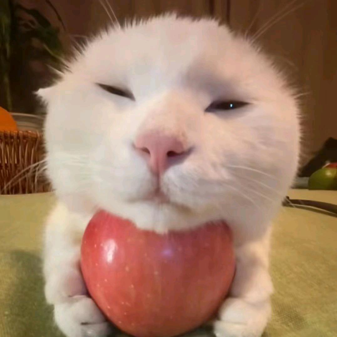 英