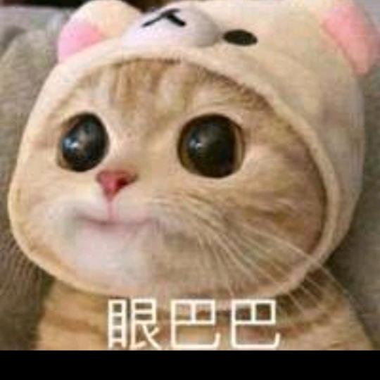 ╰☆晴天