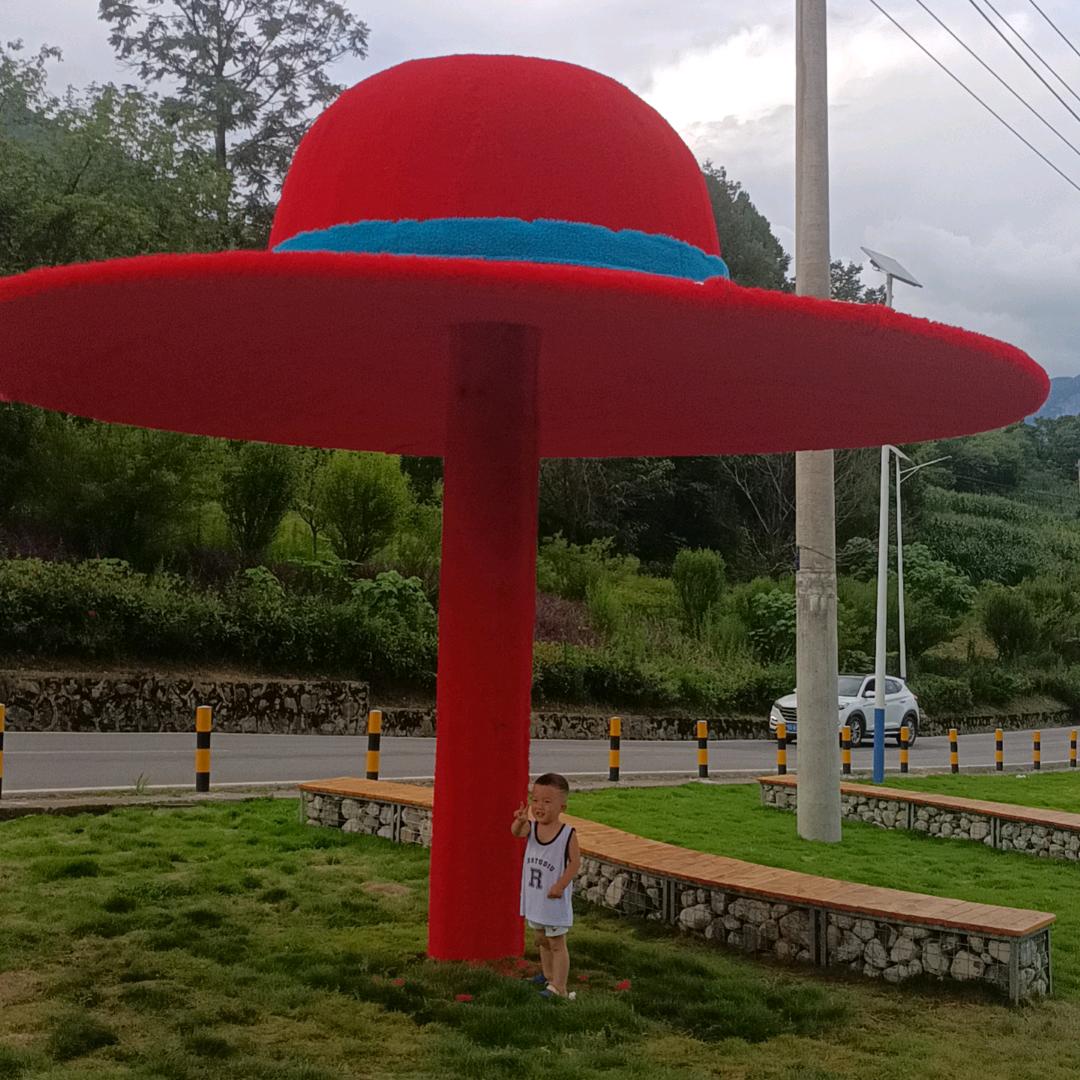 顺其自然(直播)