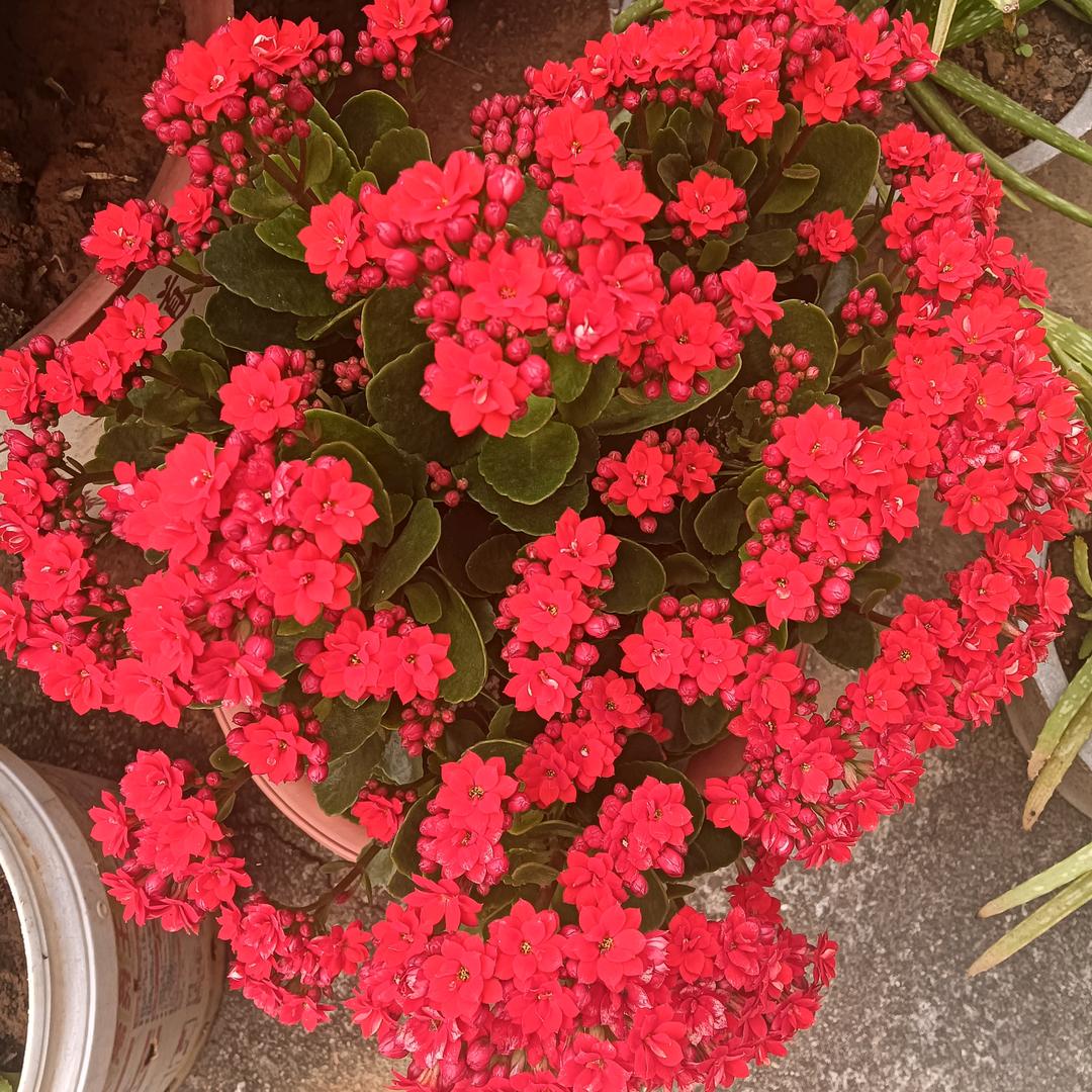 一切从零开始ᵎ 加油……