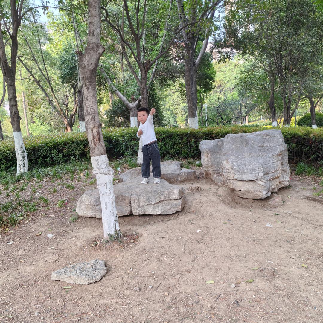 随缘